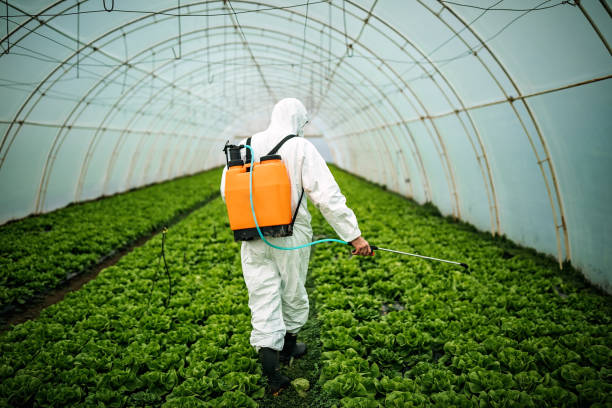Pest Control Cost in Cedarville, AR