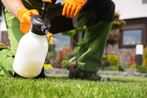 Best Emergency Pest Control  in Cedville, AR