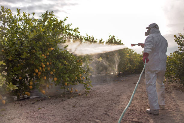 Best Pest Control Near Me  in Cedville, AR