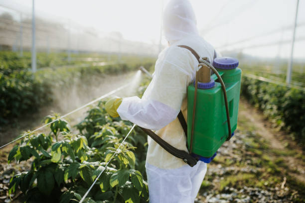 Best Commercial Pest Control Services  in Cedville, AR